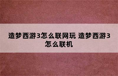 造梦西游3怎么联网玩 造梦西游3怎么联机